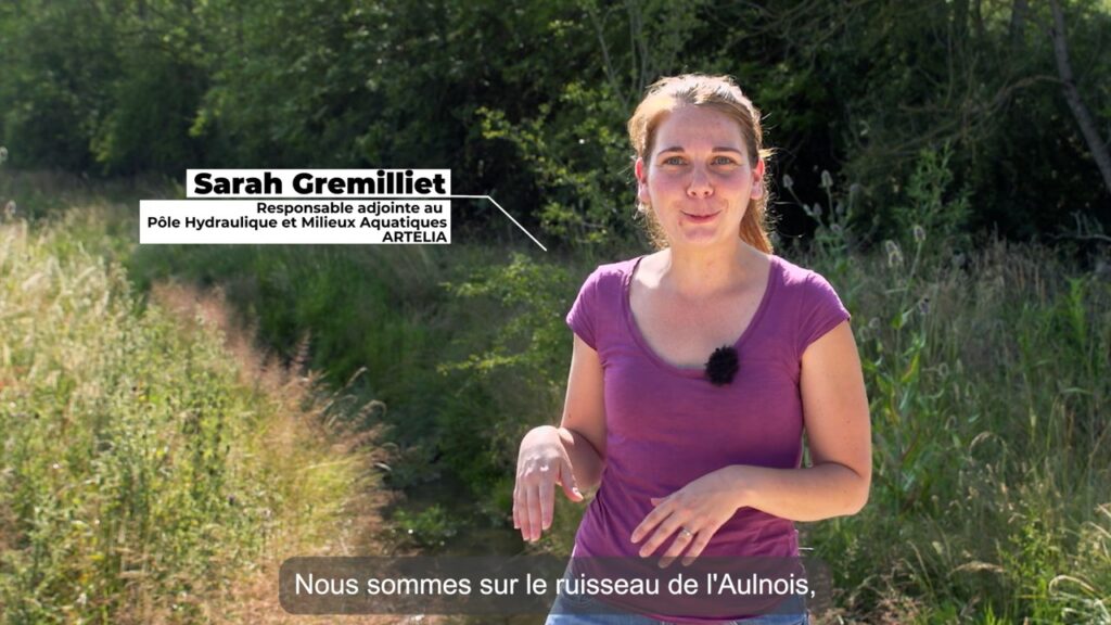 L’écoconception est désormais au cœur de notre approche chez Artelia, direction la Meuse et le cours d’eau de l’Aulnois