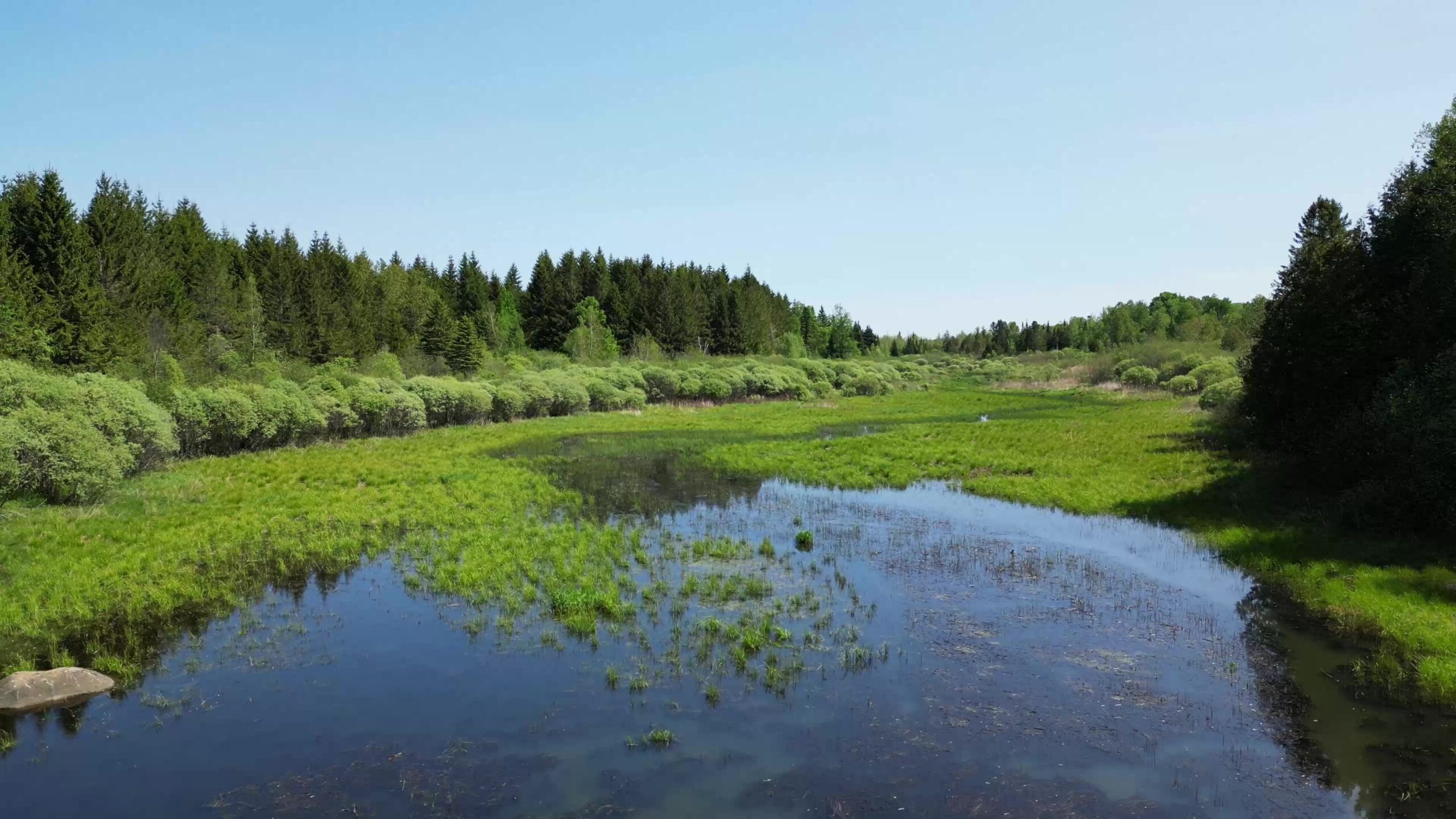 Restoration of the Meder marsh - Artelia Group