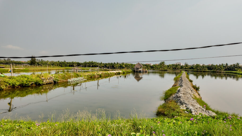 Biodiversity: developing while preserving life