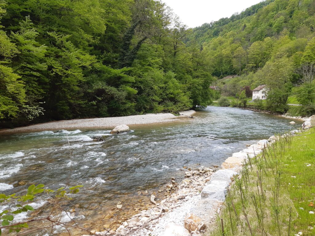 Environmental analysis and ecological engineering, biodiversity in development projects in France